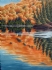 chris cooper art