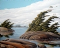 chris cooper art