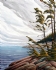 chris j cooper art